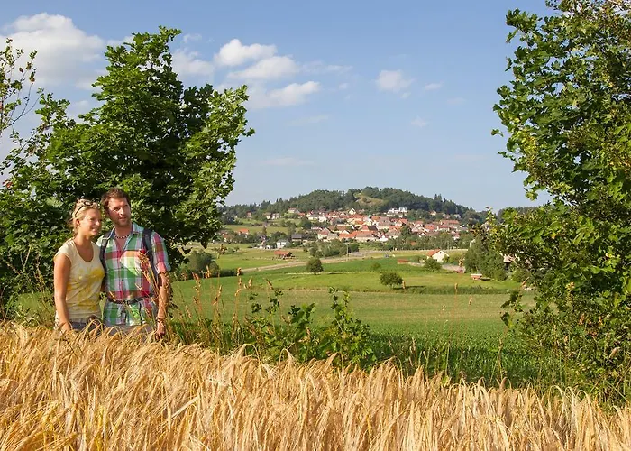 Zum Schwarzen Baeren Hotell 3*