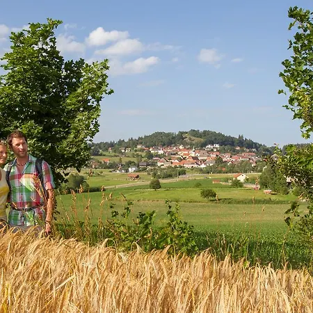 Zum Schwarzen Baeren Hotel 3*