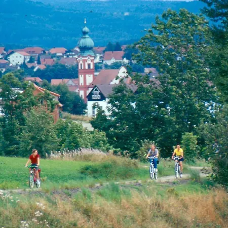 Hotel Zum Schwarzen Baeren Vohenstrauss